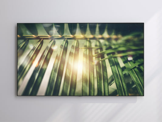 Tropical Palm | Frame TV Art | Digital Download 4K High Resolution