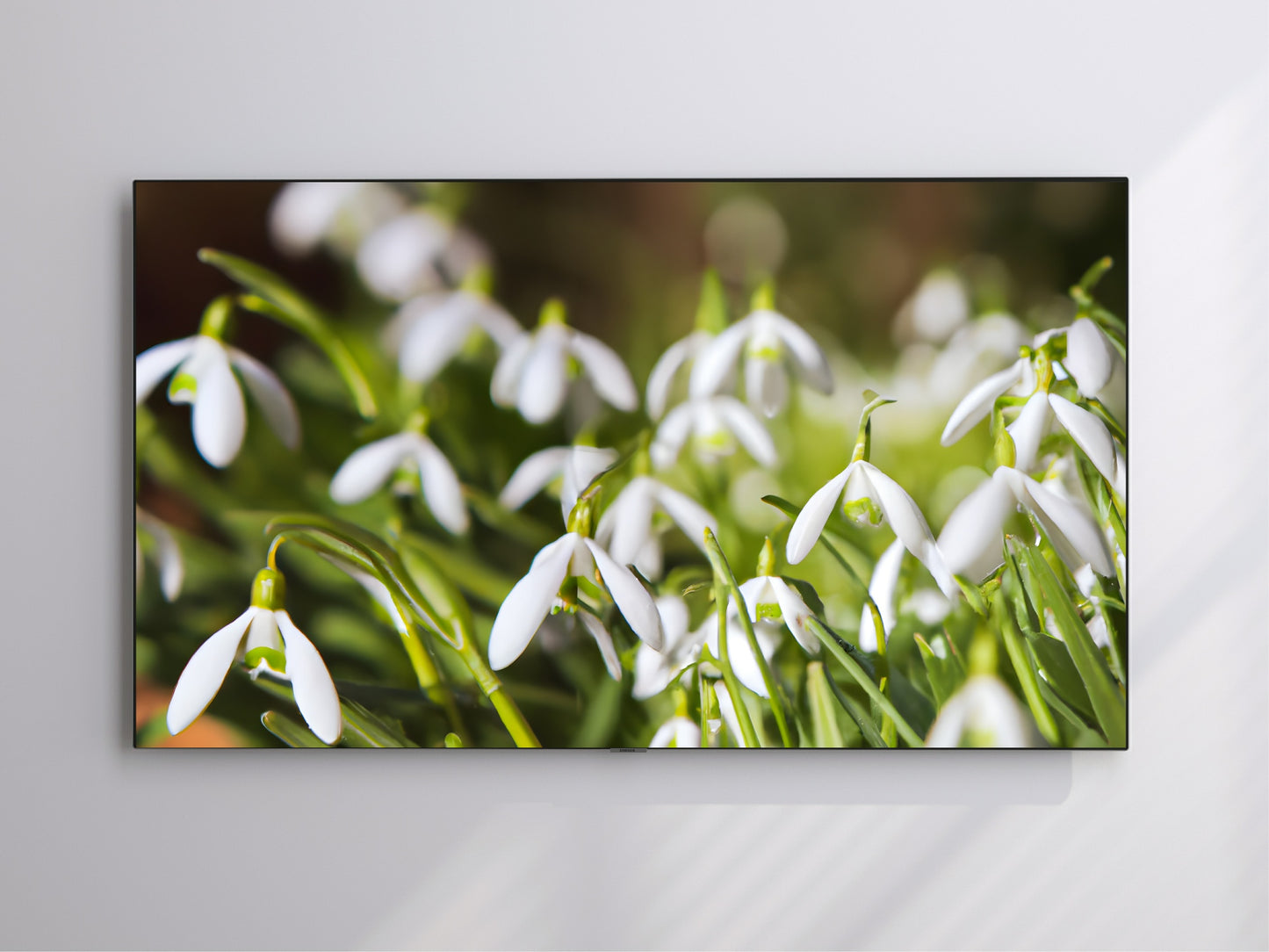 Field Of Snowdrops | Spring Blooming | Frame TV Art | Digital Download 4K High Resolution