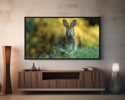 Rabbit | Spring Time | Easter | Frame TV Art | Digital Download 4K High Resolution