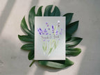 Lavender Floral Wedding Save the Date Cards | Pack of 10