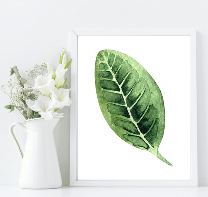Botanical Leaf Print | Collection Of Watercolour Leaves Wall Art
