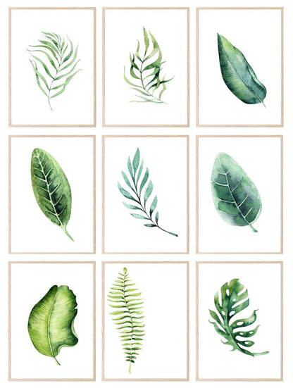 Botanical Leaf Print | Collection Of Watercolour Leaves Wall Art