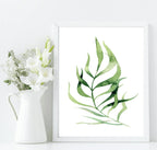 Botanical Leaf Print | Collection Of Watercolour Leaves Wall Art - Larosier Prints
