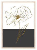 Floral Colour Block Wall Art Prints | Various Colours Available - Larosier Prints