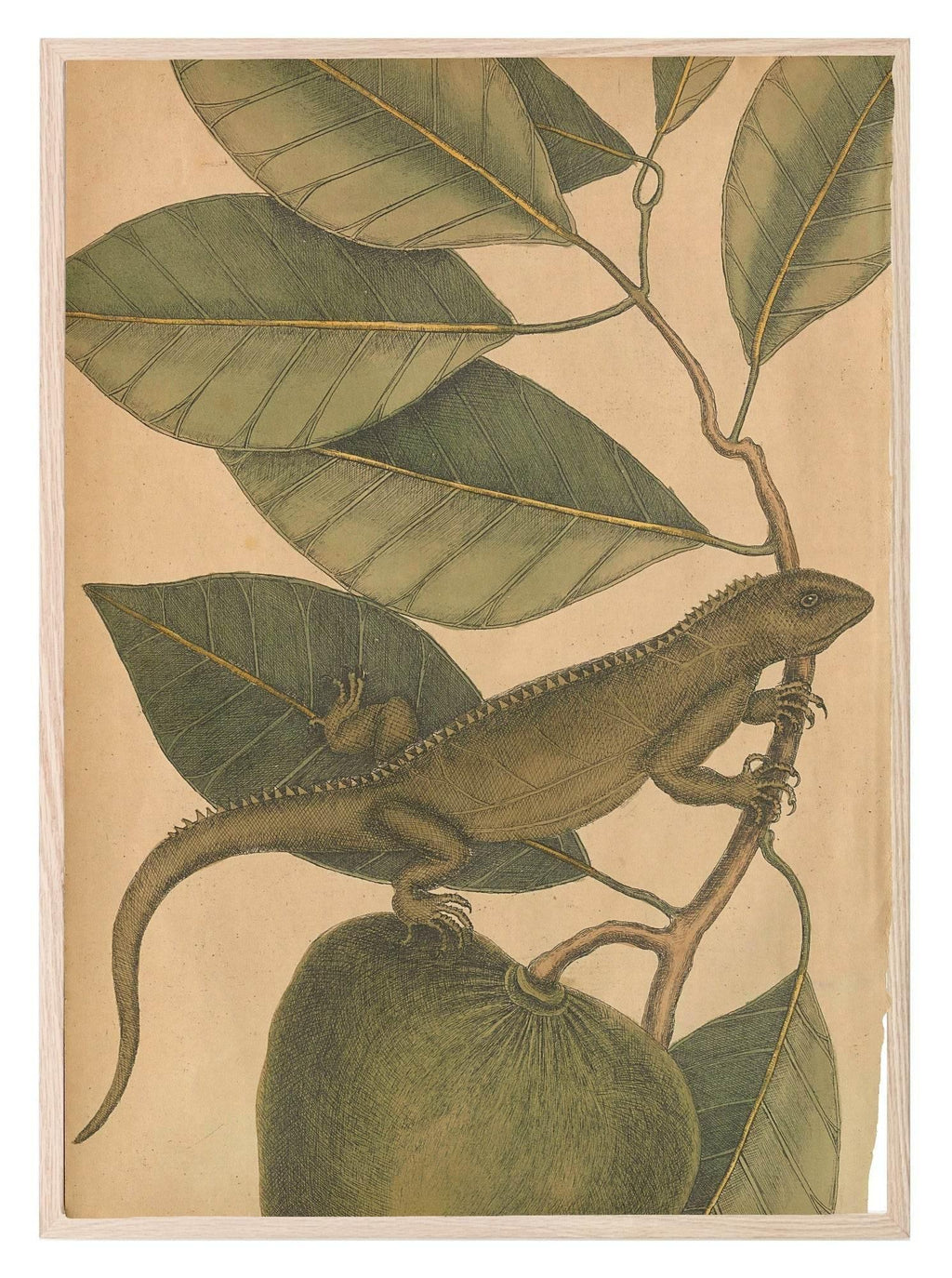 Iguana Leaf Print | Botanicals Animal Wall Art - Larosier Prints