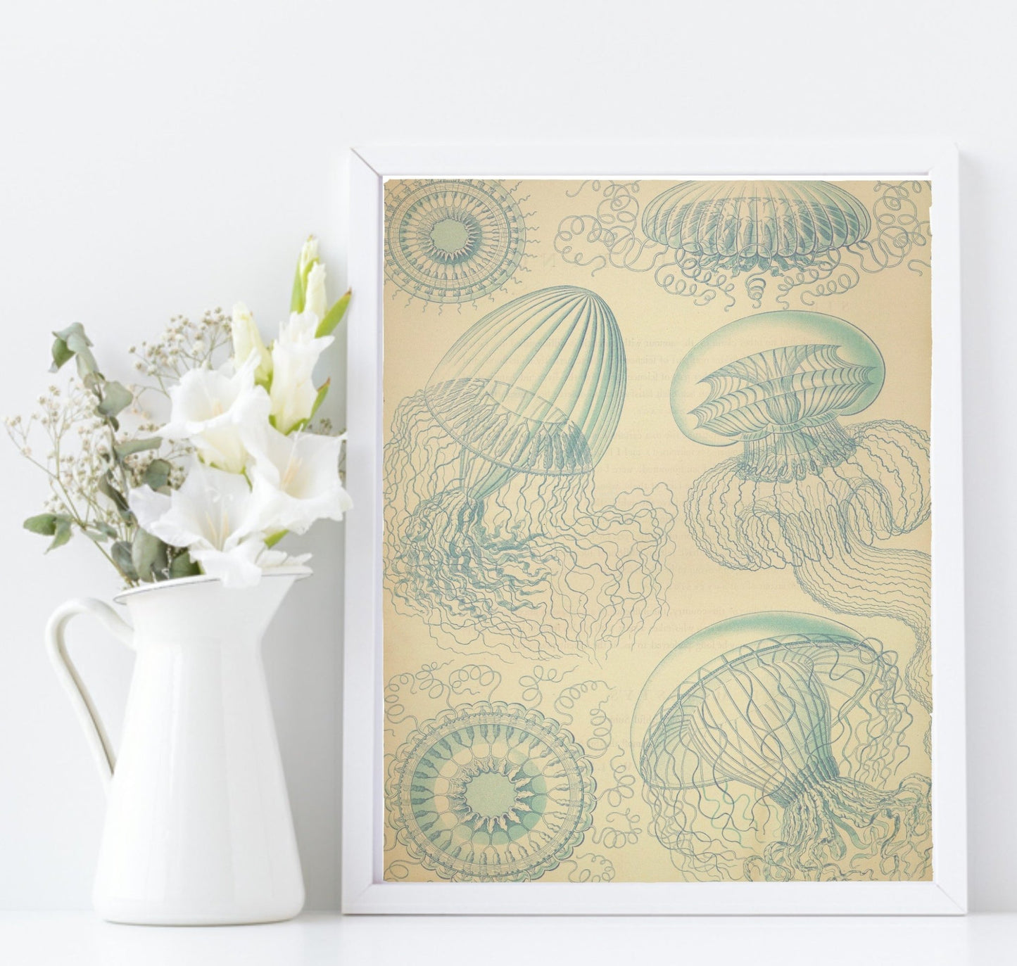 Jelly Fish Print | Under The Sea Ocean Animal Wall Art