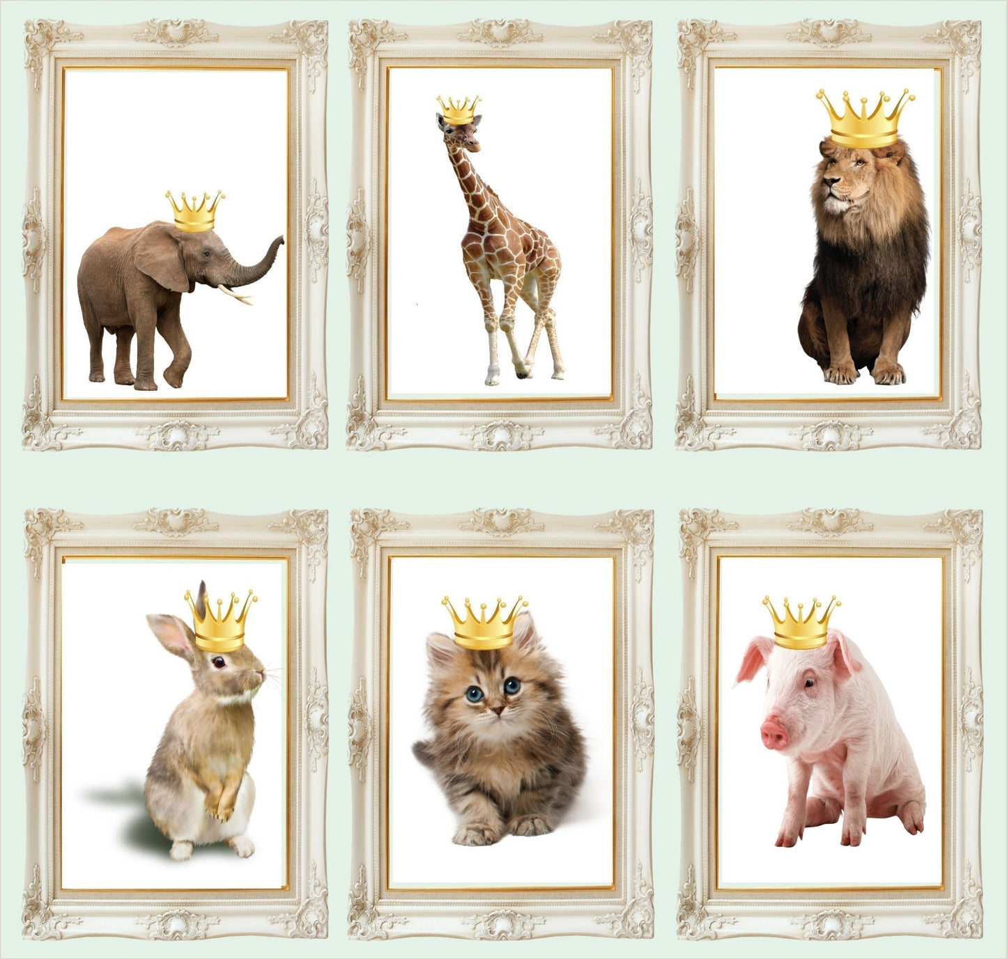 Kitten With Gold Crown Print | Animal Wall Art