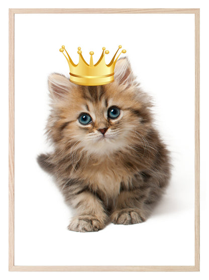 Kitten With Gold Crown Print | Animal Wall Art