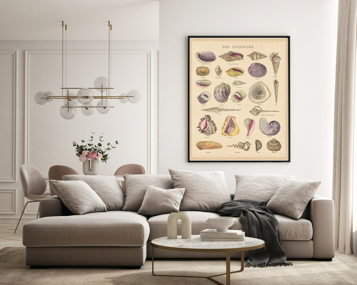 Les Coquilles Print | Shells Ocean Animal Wall Art