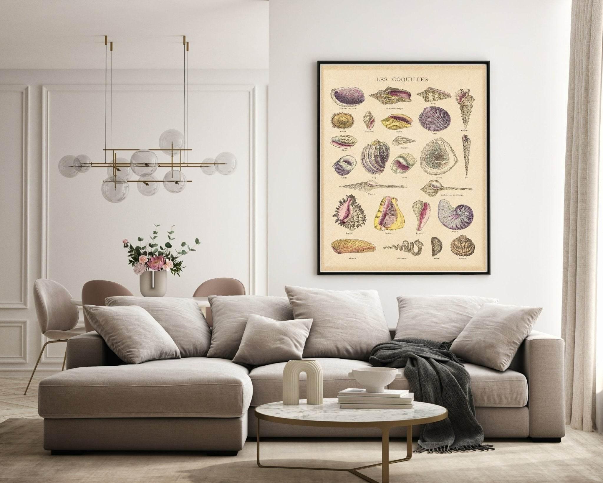 Les Coquilles Print | Shells Ocean Animal Wall Art - Larosier Prints