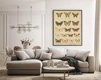 Les Pappilions Print | Butterfly Animal Wall Art - Larosier Prints