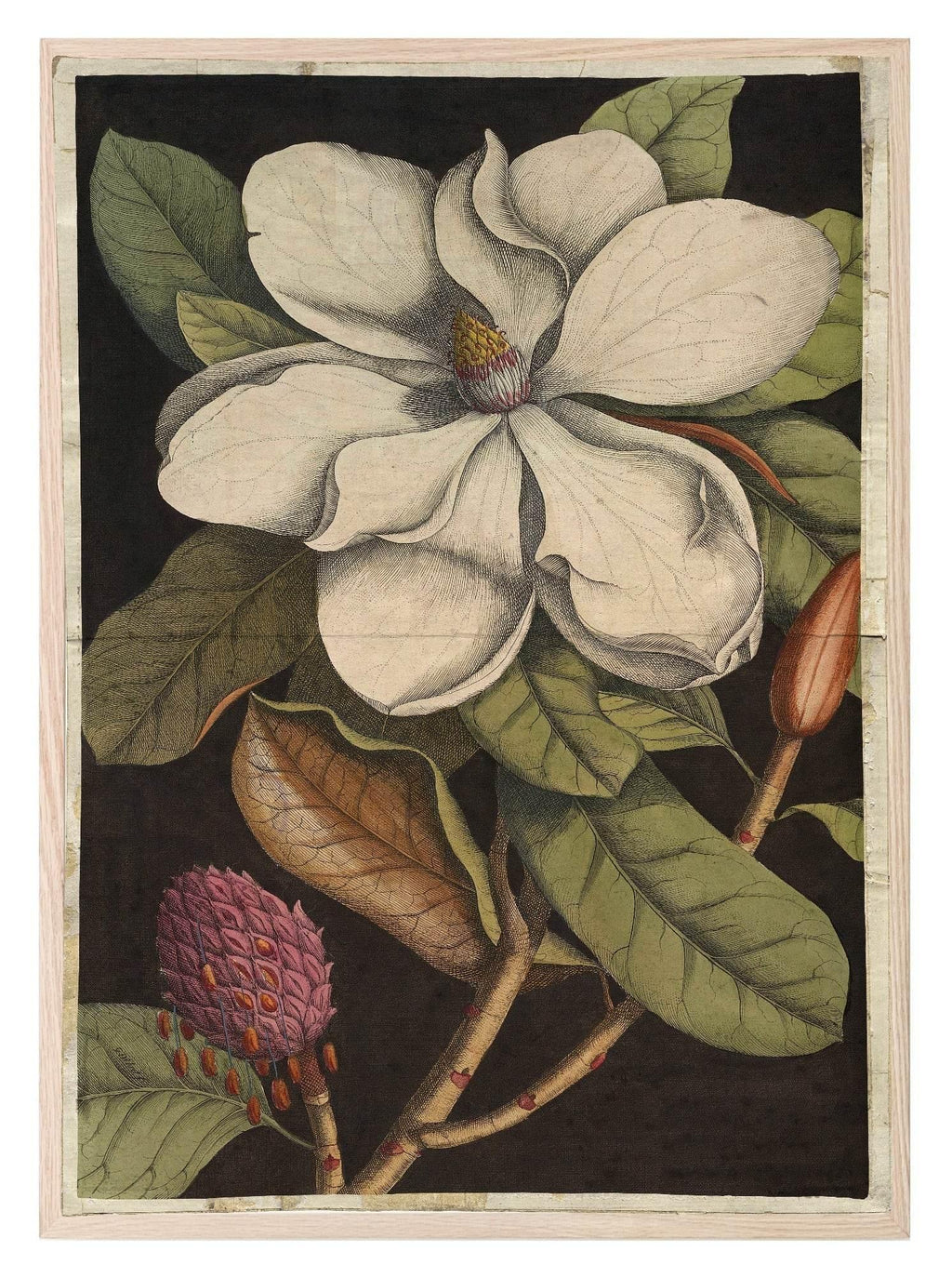 Moody Flower Print | Black Floral Wall Art - Larosier Prints