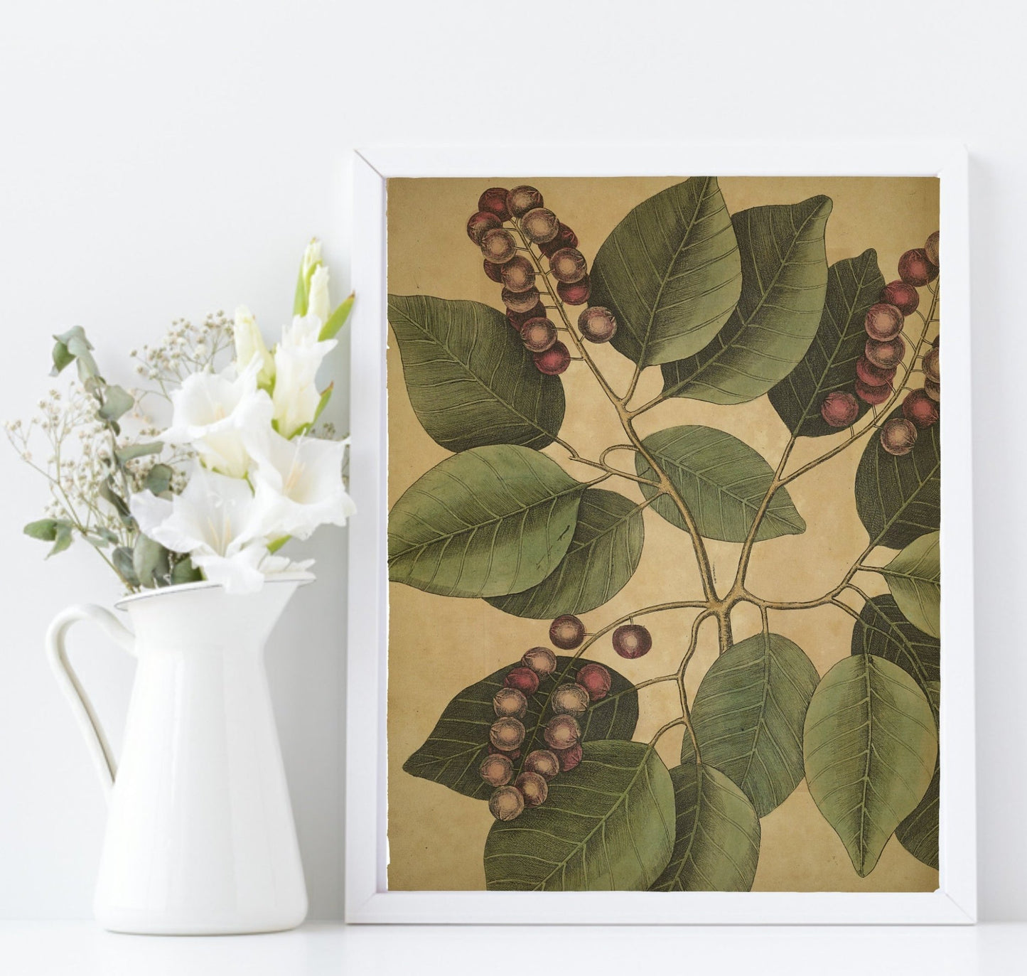 Red berries & Leaf Print | Botanical Nature Wall Art