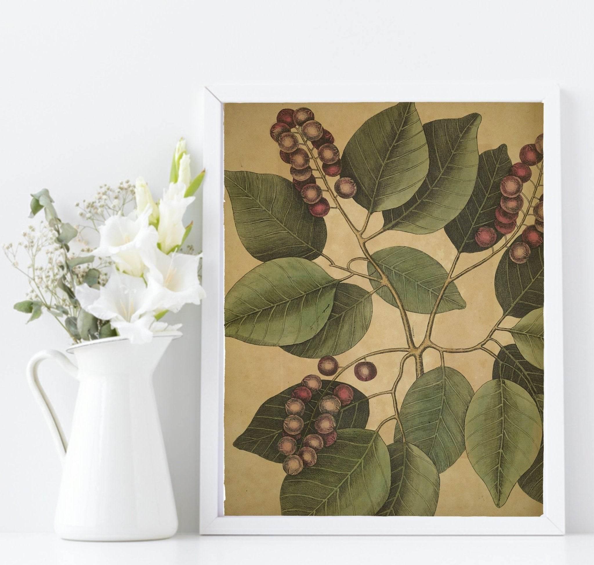 Red berries & Leaf Print | Botanical Nature Wall Art - Larosier Prints